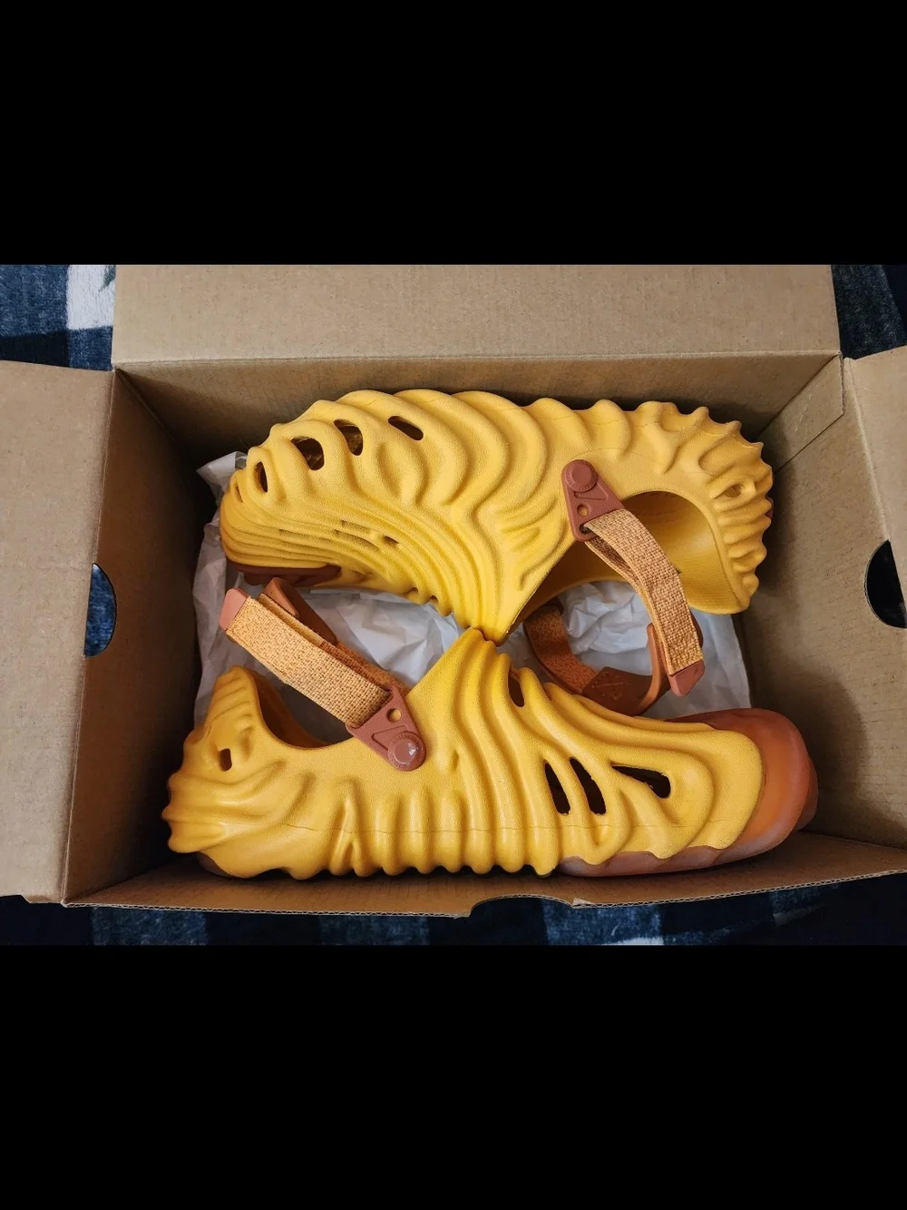 Men's Crocs